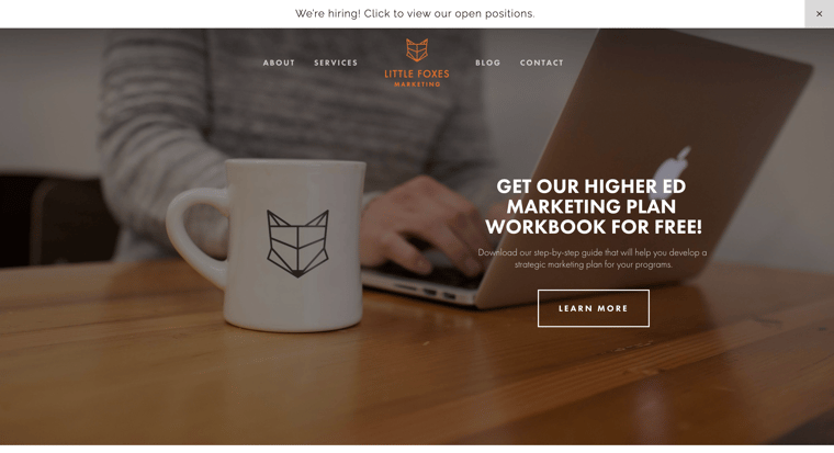 Little Foxes Marketing Homepage